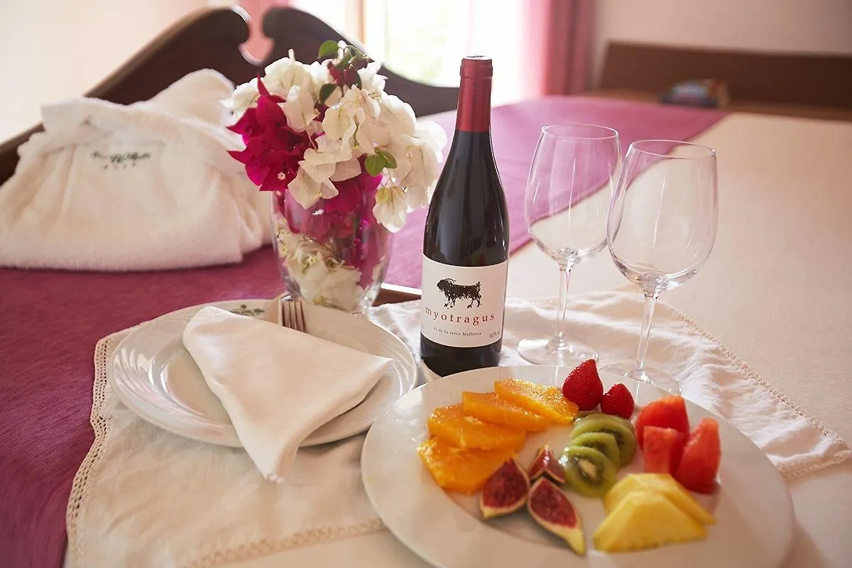 Hotel Son Trobat Wellness&Spa Sant Llorenc Des Cardassar Spanien